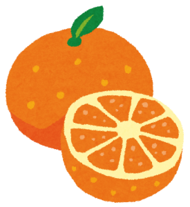 fruit_orange2