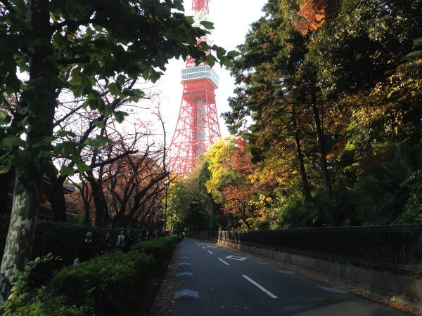 東京タワーと紅葉